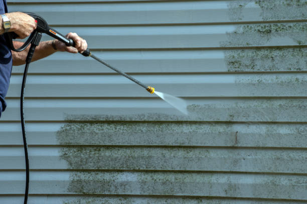 Best Pool Deck Cleaning  in Waawa, HI